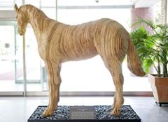 차밍걸, 101번의 도전 의 사진